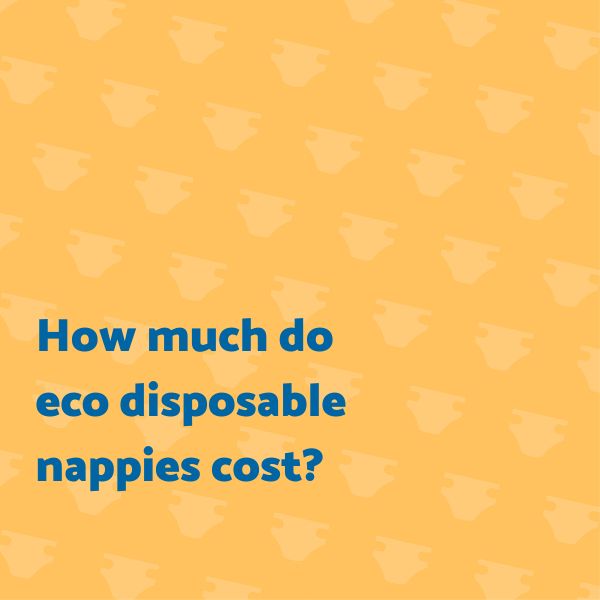 How much do eco disposable nappies cost?