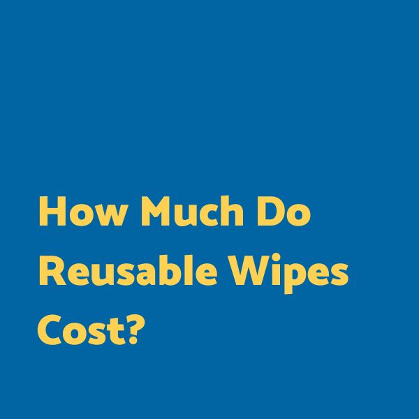 How much do reusable wipes cost?