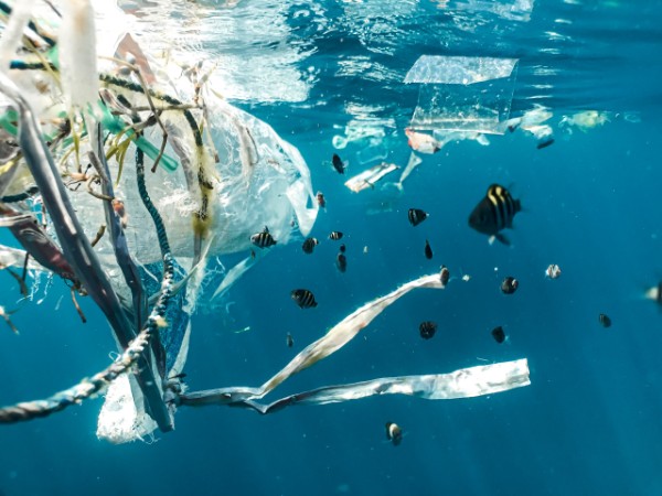 Plastic Pollution in the Sea
