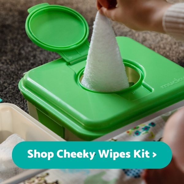 Shop Cheeky Wipes Kit