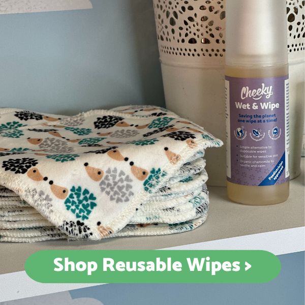 Are Reusable Wipes Cheaper than Disposables Cheeky Wipes