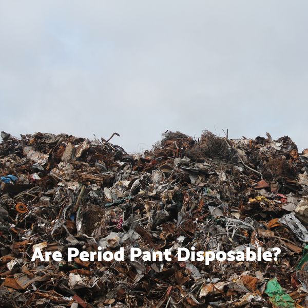 Are Period Pants Disposable?