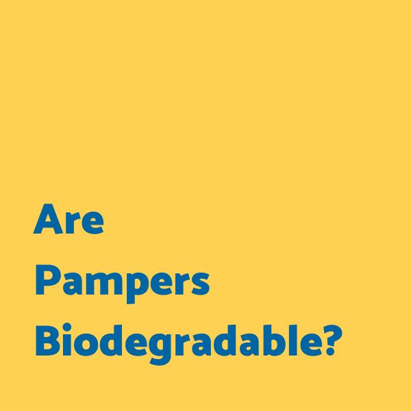 Are Pampers Biodegradable?