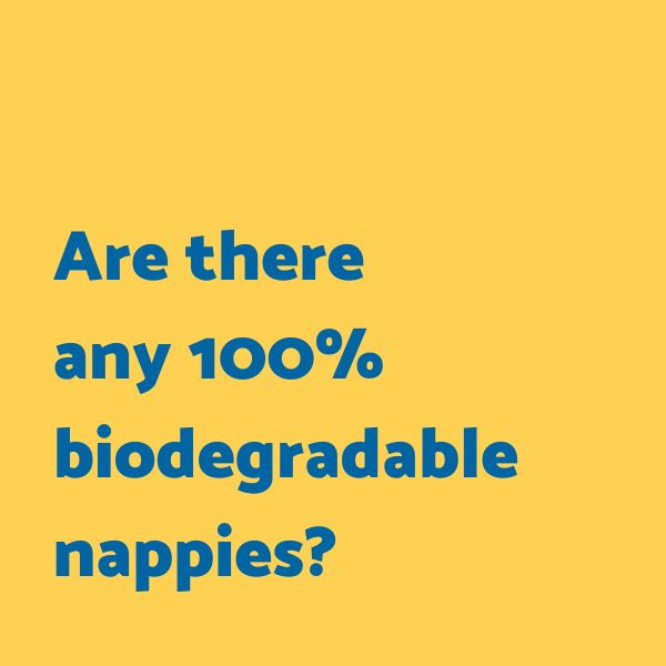 are there any 100 percent biodegradable nappies