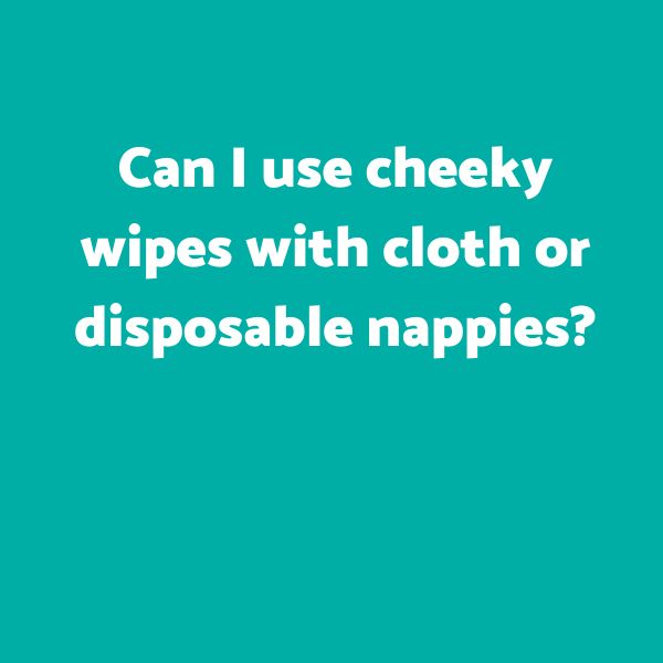 Can I use cheeky wipes with cloth or disposable nappies