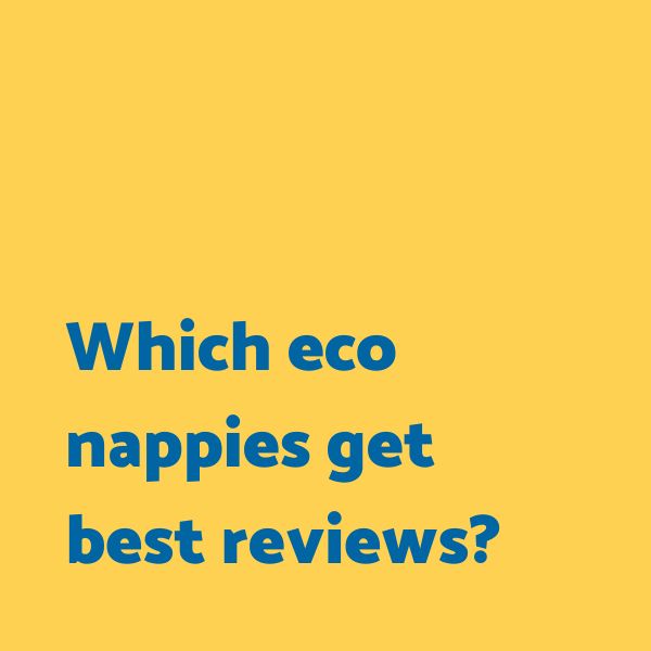 Which eco nappies get best reviews?