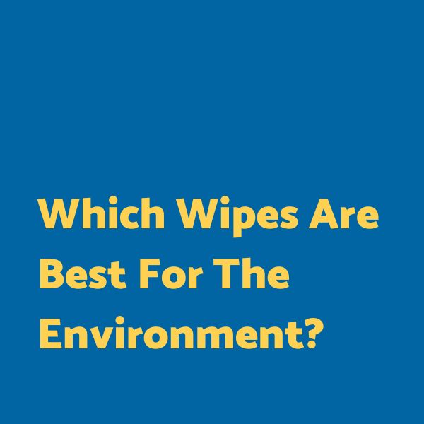 Which wipes are best for the environment?